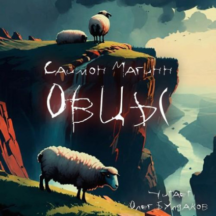 Овцы